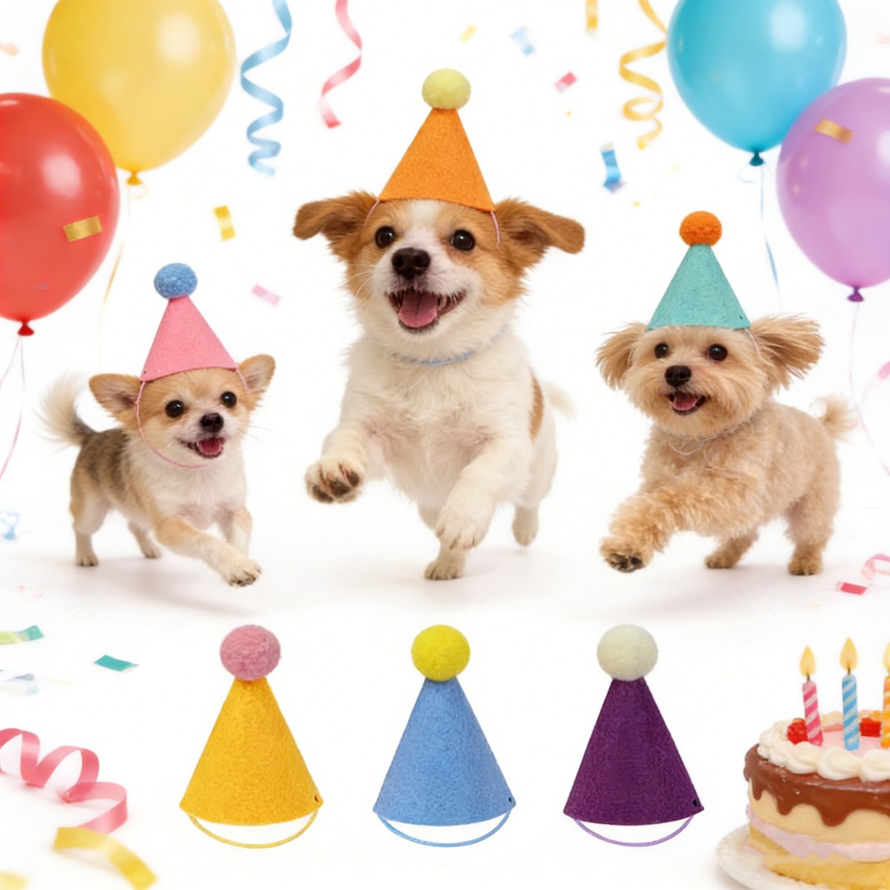 3/6pcs Pet Party Hat Colorful  - Party Hat Cone 评论和价格