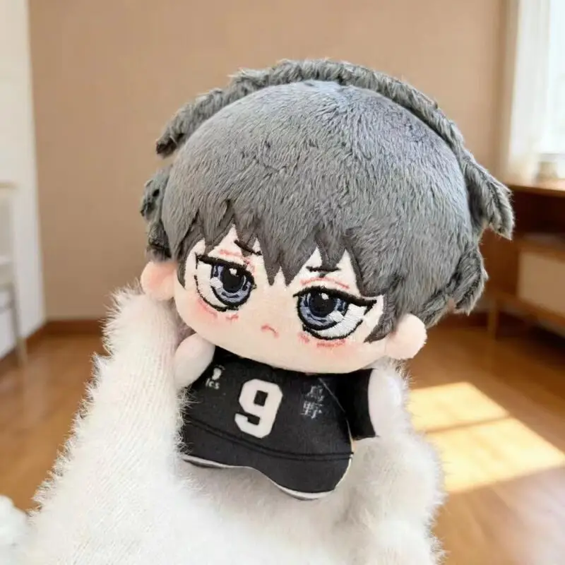 Cartoon Anime Haikyuu Shoyo Hi - Event Supplies 评论和价格